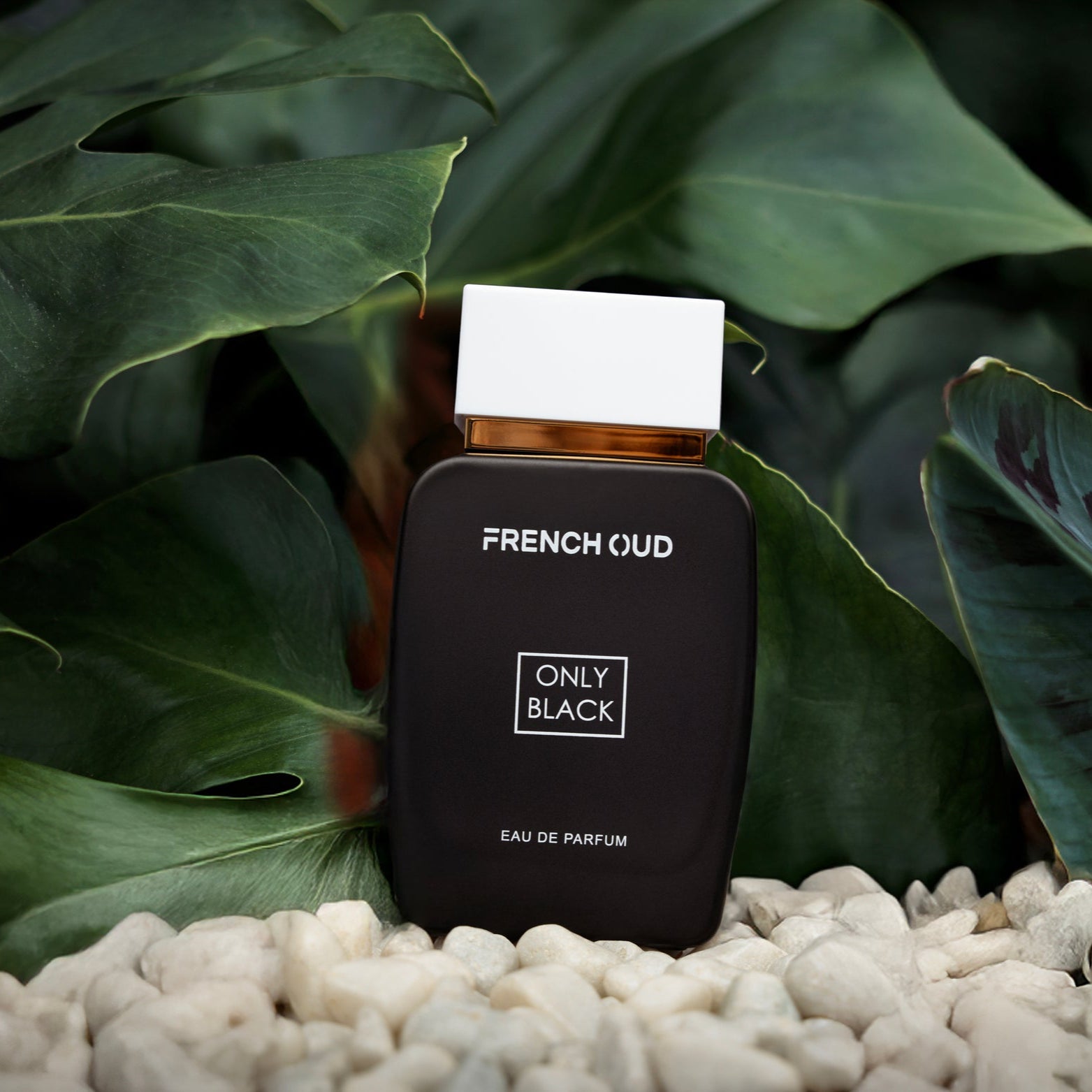 "ONLY BLACK men’s perfume bottle – citrus and herbal scent with lemon, juniper, basil, and sandalwood by Armondae"